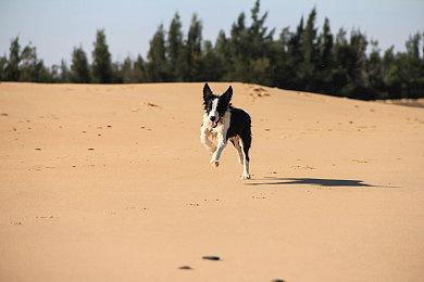 骑砍2夏促新史低！六折感受中世纪战争的魅力